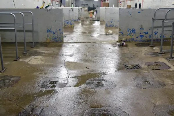 Hog Barn Power Washing